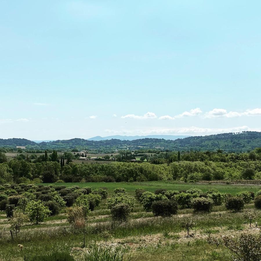 Le Mazet D'Emilia Avec Jardin Et Piscine Prives Villa Cucuron Eksteriør bilde